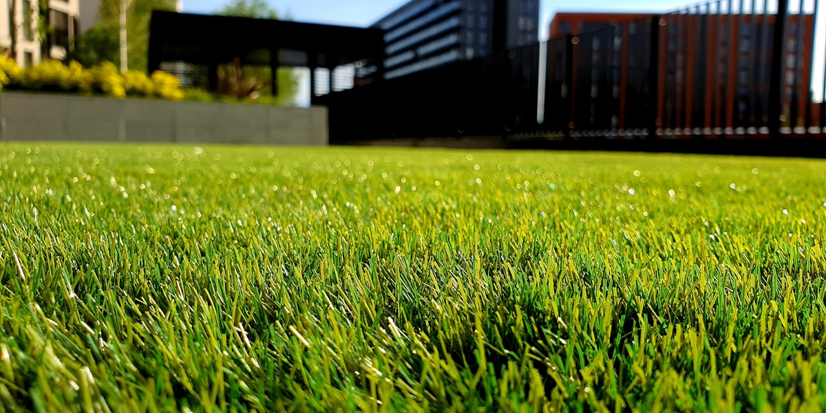 Lawn care service — mowing a residential property